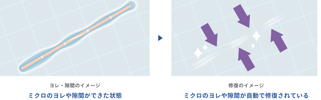 ANESSA Skincare Milk NA 官方UV防護技術詳圖