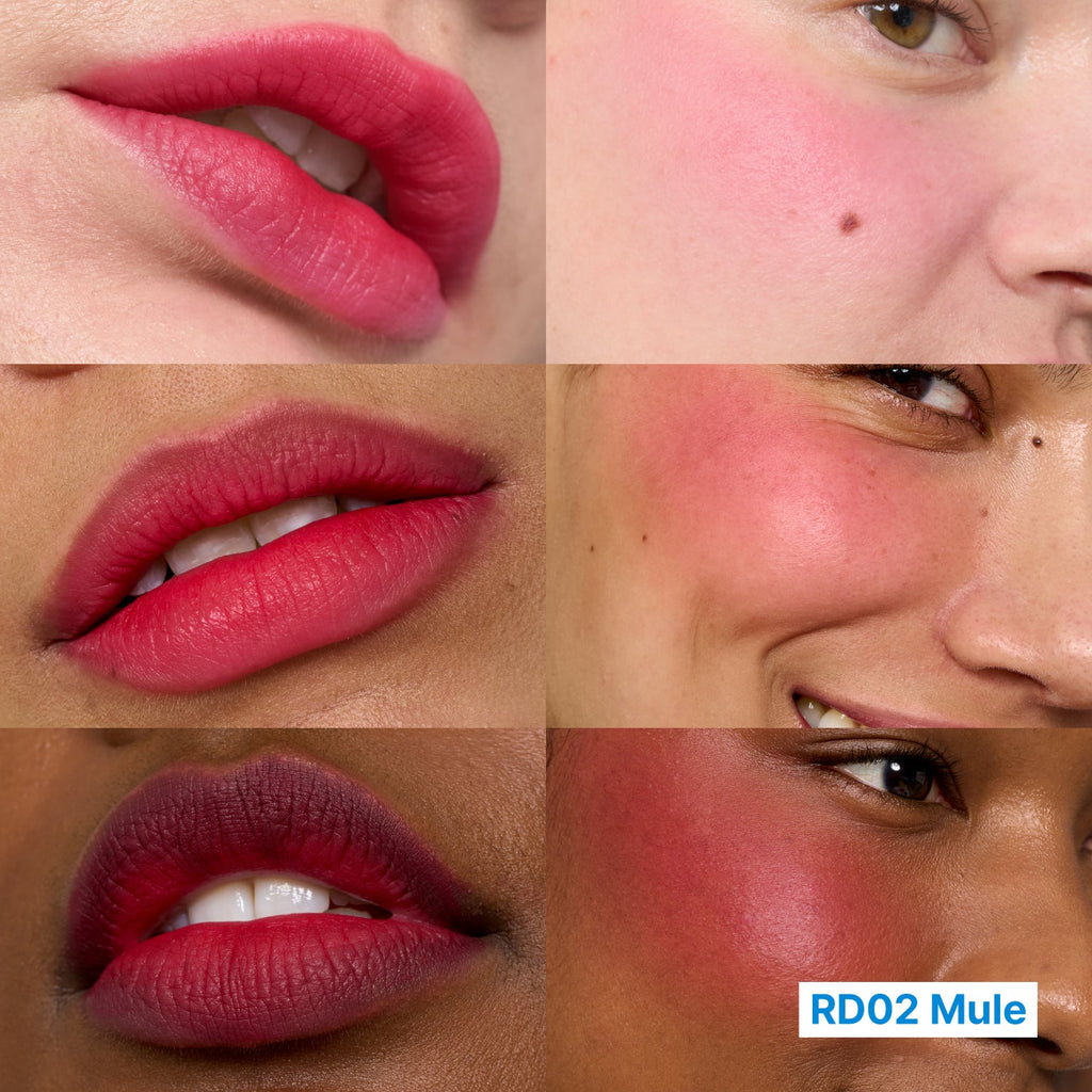 fwee-lip-cheek-blurry-pudding-pot RD02 Mule 色號