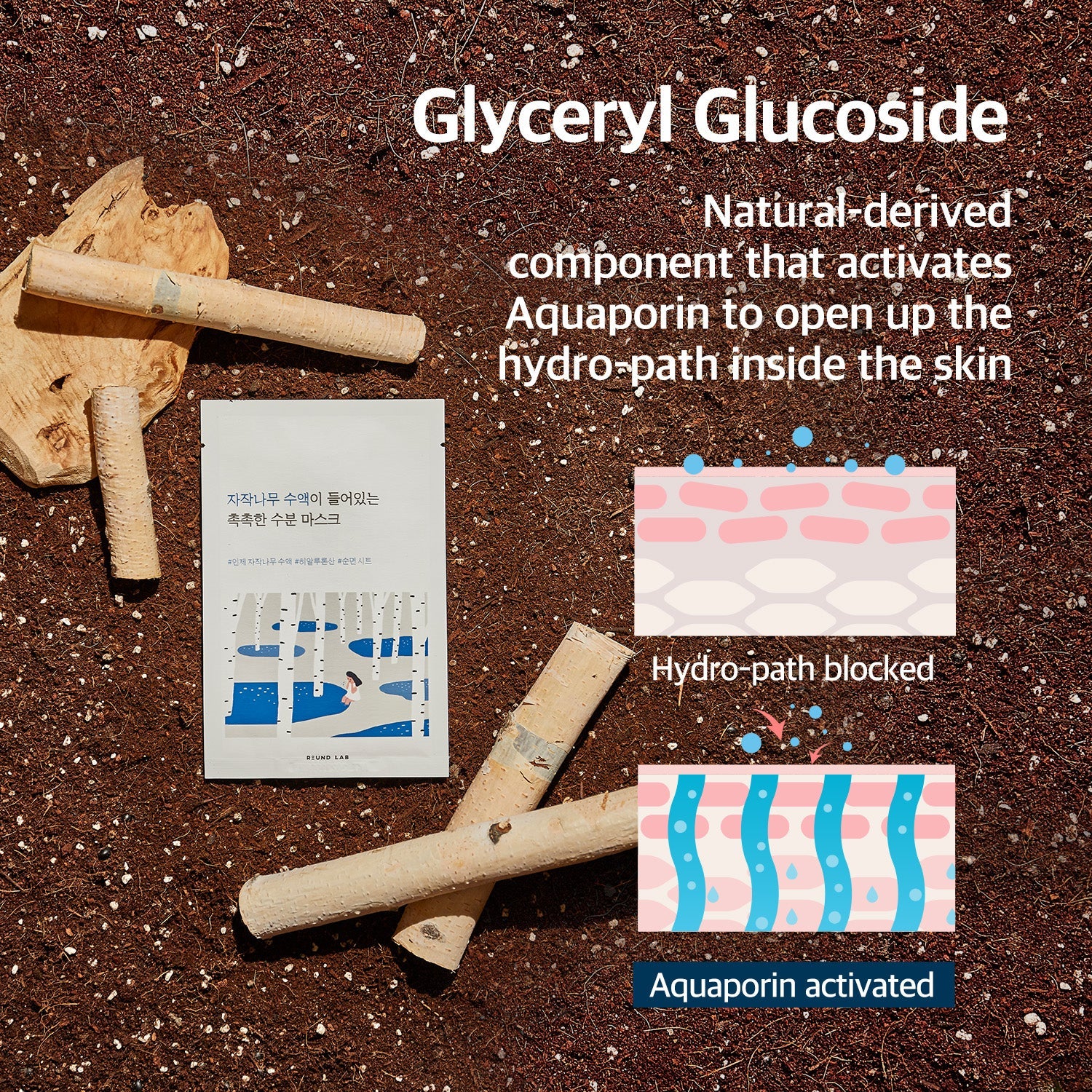 ROUND LAB 樺樹汁保濕面膜套裝 [25毫升 x 10片]