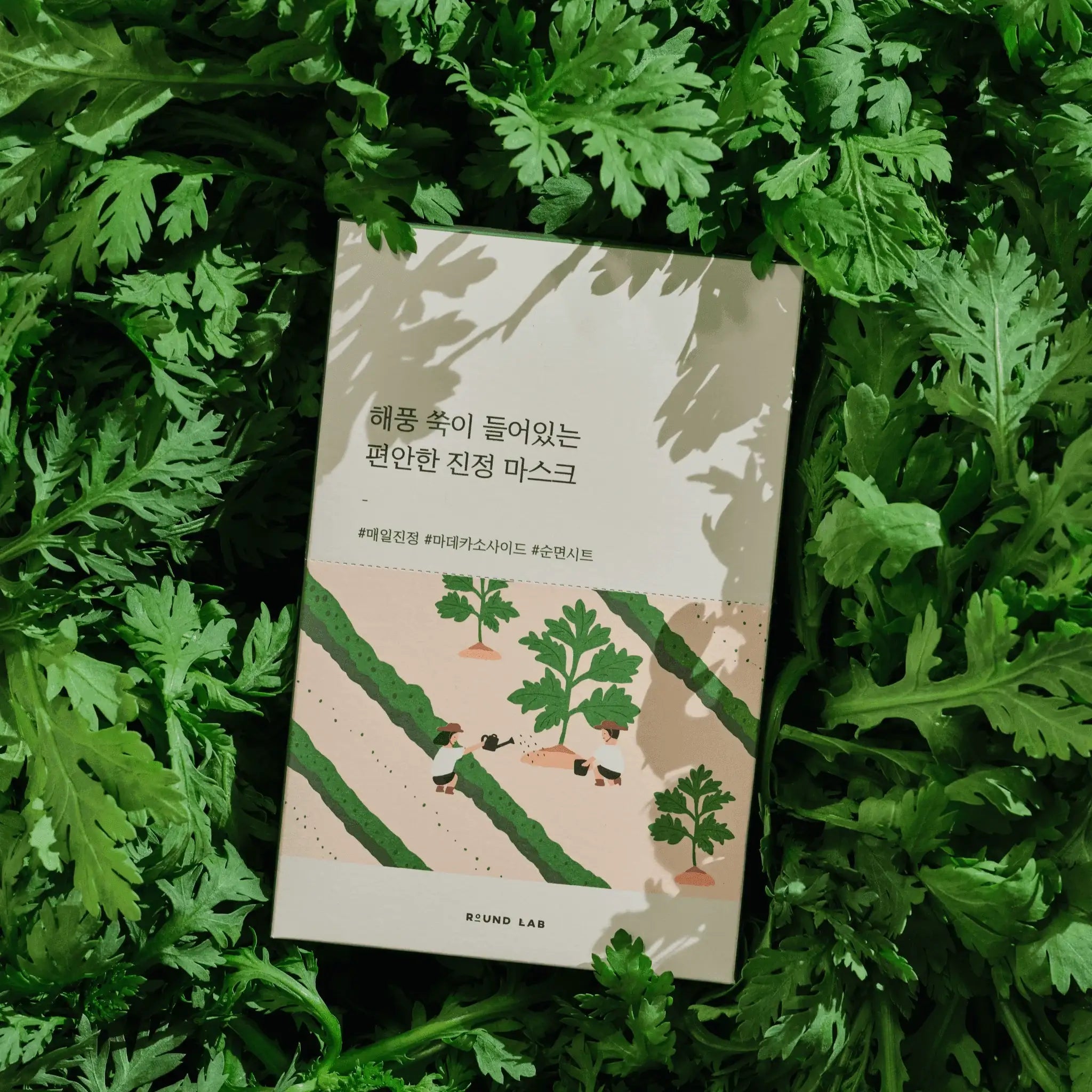 ROUND LAB 艾草舒緩面膜套裝 [25毫升 x 10片]