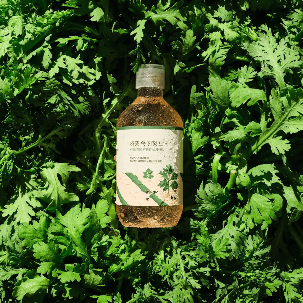 ROUND LAB 艾草舒緩爽膚水 [300毫升]