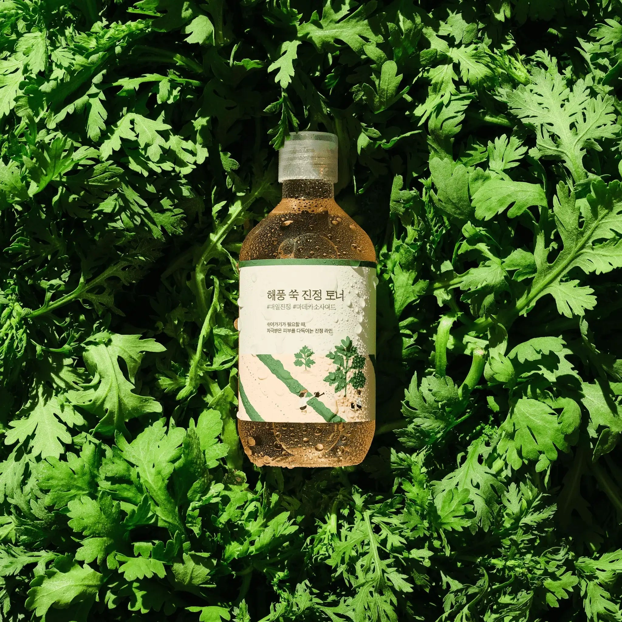 ROUND LAB 艾草舒緩爽膚水 [300毫升]