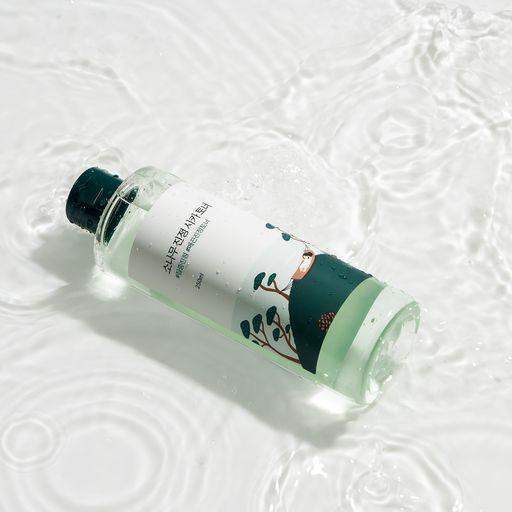ROUND LAB 松樹舒緩修護爽膚水 [250毫升]