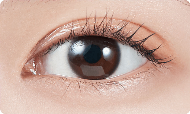 Molak Dollish Brown