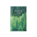 Skin1004 [1片] 馬達加斯加積雪草茶樹祛痘面膜 24ml
